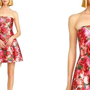 Sachin & Babi  Alanna Rose Fit & Flare Minidress (Size 10) - New with tags